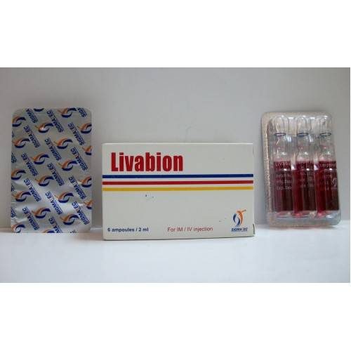 LIVABION 6 AMP