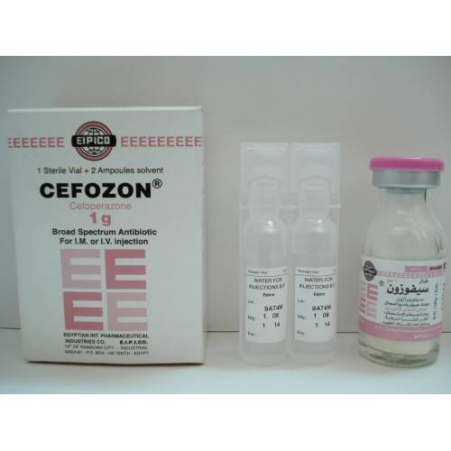 CEFOZON 1 GM I M - I V 1 VIAL