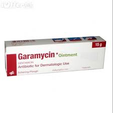 GARAMYCIN 15GM SKIN OINT