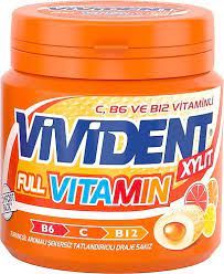 Vivident Xylit Mega Bottle 90 G