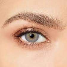 عدسة ديسيو لليوم الواحد (رمادي ثمين)