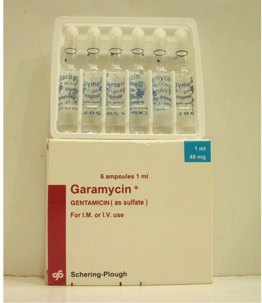 Garamycin 40 Mg / 1 Ml 6 Amp