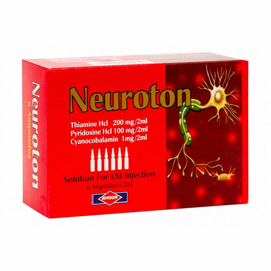 NEUROTON 6 AMP