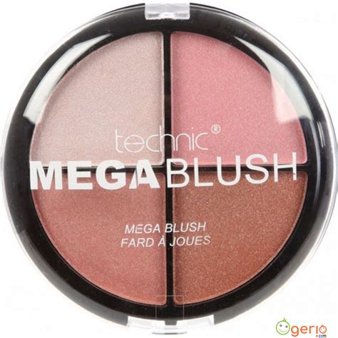 TECHNIC MATTE MEGE BLUSH PALETTE FARD A JOUES