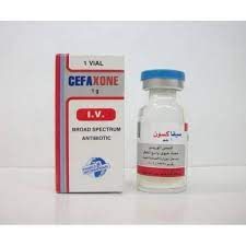 CEFAXONE 1G I.V. ( 1 VAL)