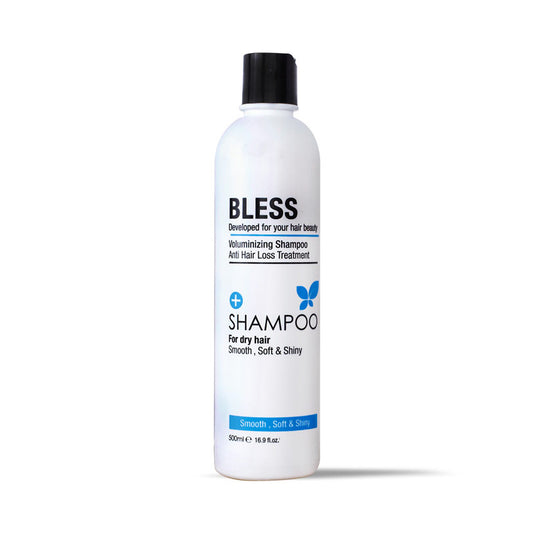 BLESS VOLUMINIZING SHAMPOO DRY HAIR 500ML
