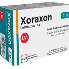 XORAXON 1 GM IM 1 VAL