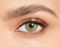 DESIO ONE DAY LENS (WILD GREEN)