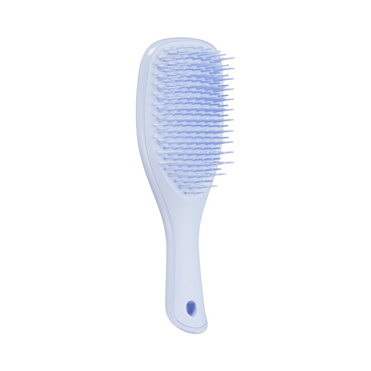 TANGLE TEEZER WET DETANGLER MINI (1311)