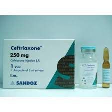 CEFTRIAXONE EVA 250 MG I.M. VIAL