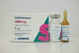 CEFTRIAXONE EVA 1 GM I.M. VIAL