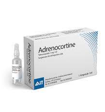 ADRENOCORTINE 1 MG IM 1 AMP