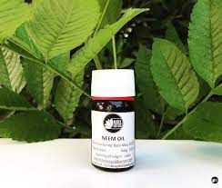 زيت النيم الأسود 30 مل