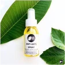 BLACK LOTUS ANTI-ANTS SPRAY 75ML