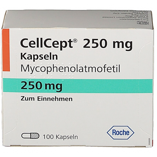Cellcept 250 Mg 100 Tab ( Xx )
