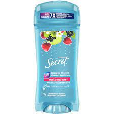 SECRET SCENT GEL STICK (BERRY) 73G