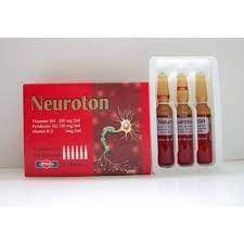 NEUROTON 6 AMP