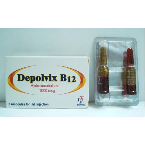 Depolvix B12 2 Amp