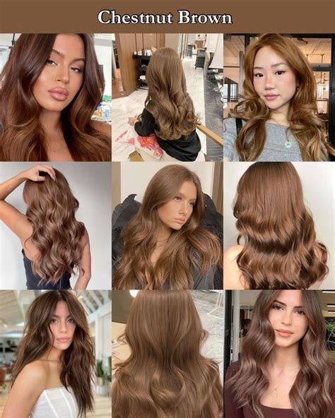 PALETTE HAIR COLOR3-65LIGHT CHESTNUT OFF20